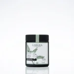 CARELIKA Shaker Prebiotic Creamy Mask Green Clay Jar 15gr.