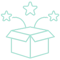 Original Package Design Icon